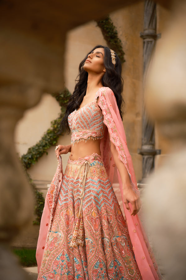 Multi Colour Lehenga W458