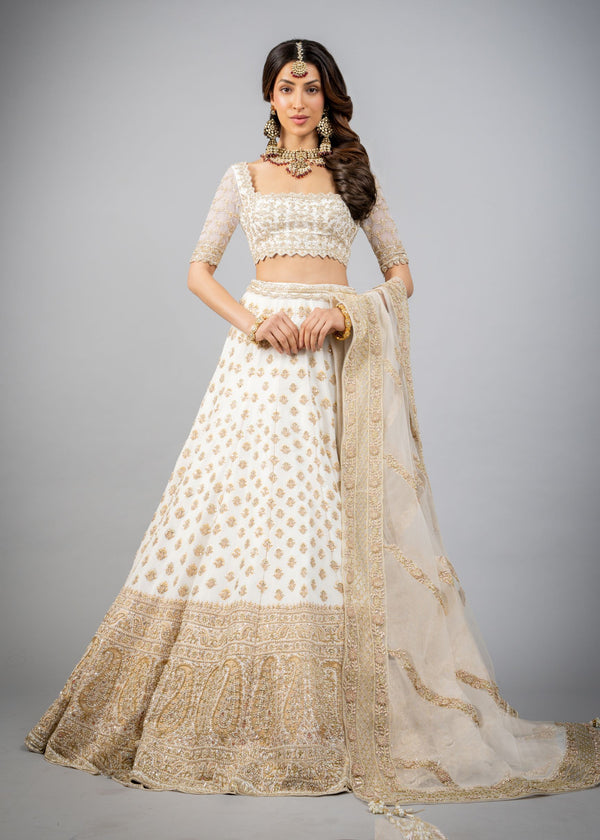 White Beneras Lehenga W446